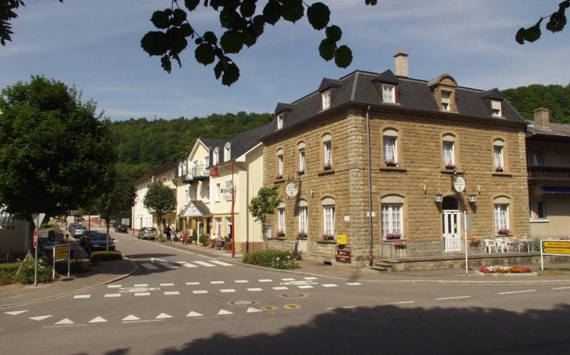 Logis Hotel Restaurant Dimmer